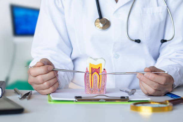 Best Emergency Gum Pain Relief  in Tilden, NE